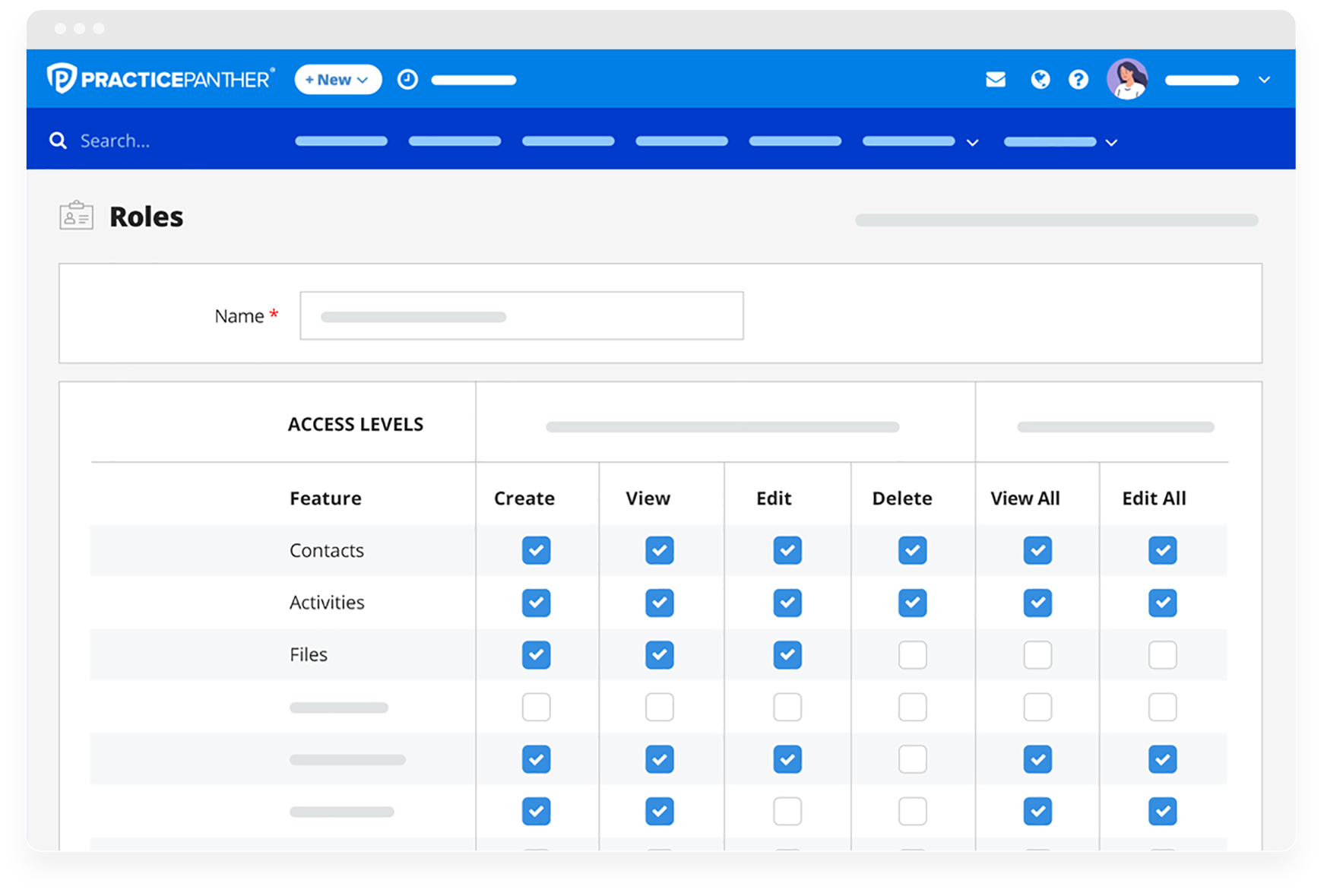 Security role setup in PracticePanther