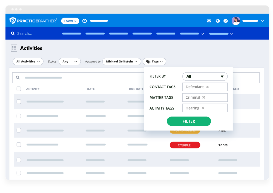 Activities Custom Tags in PracticePanther